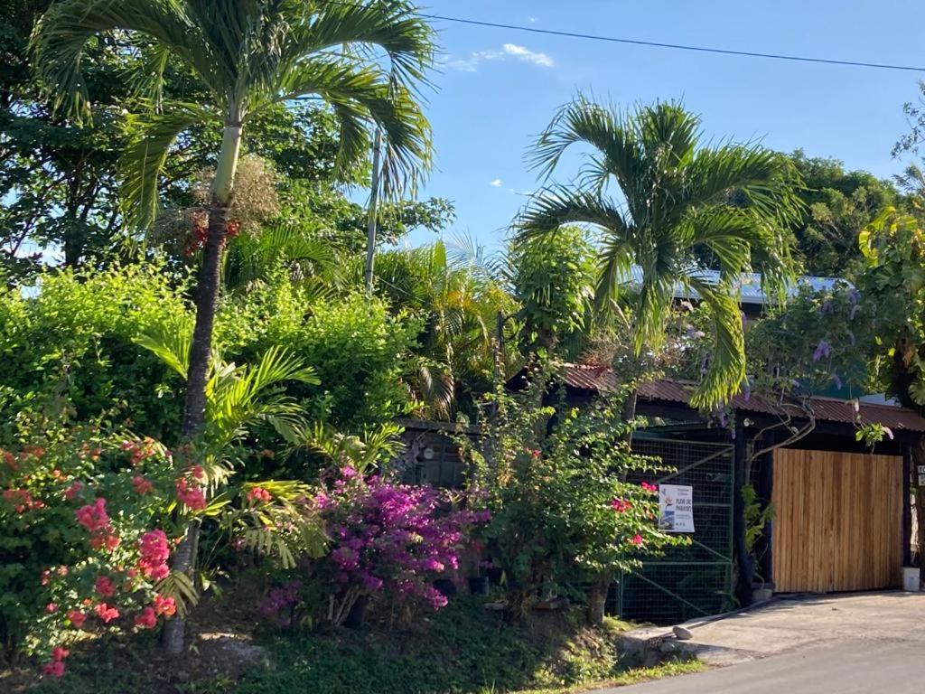 Flor De Paraiso Bungalows Montezuma Exterior foto